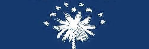 SC5Dems's profile banner image