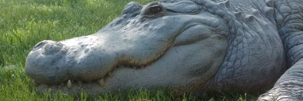 iankbenoit Profile Banner