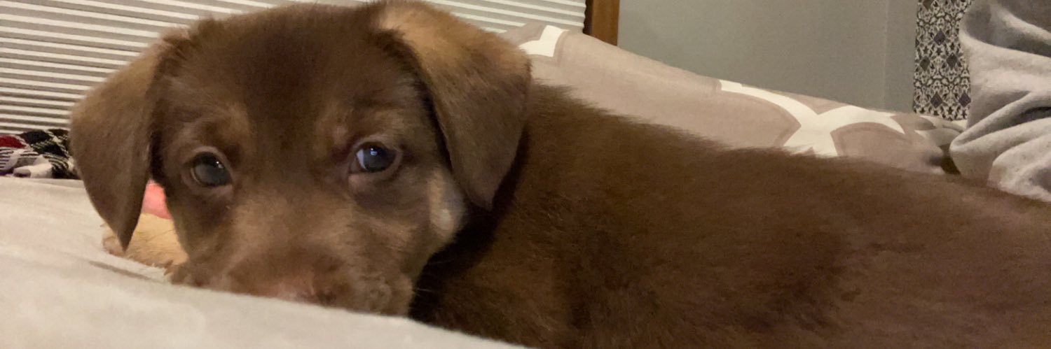 Emma_schatzel's profile banner image