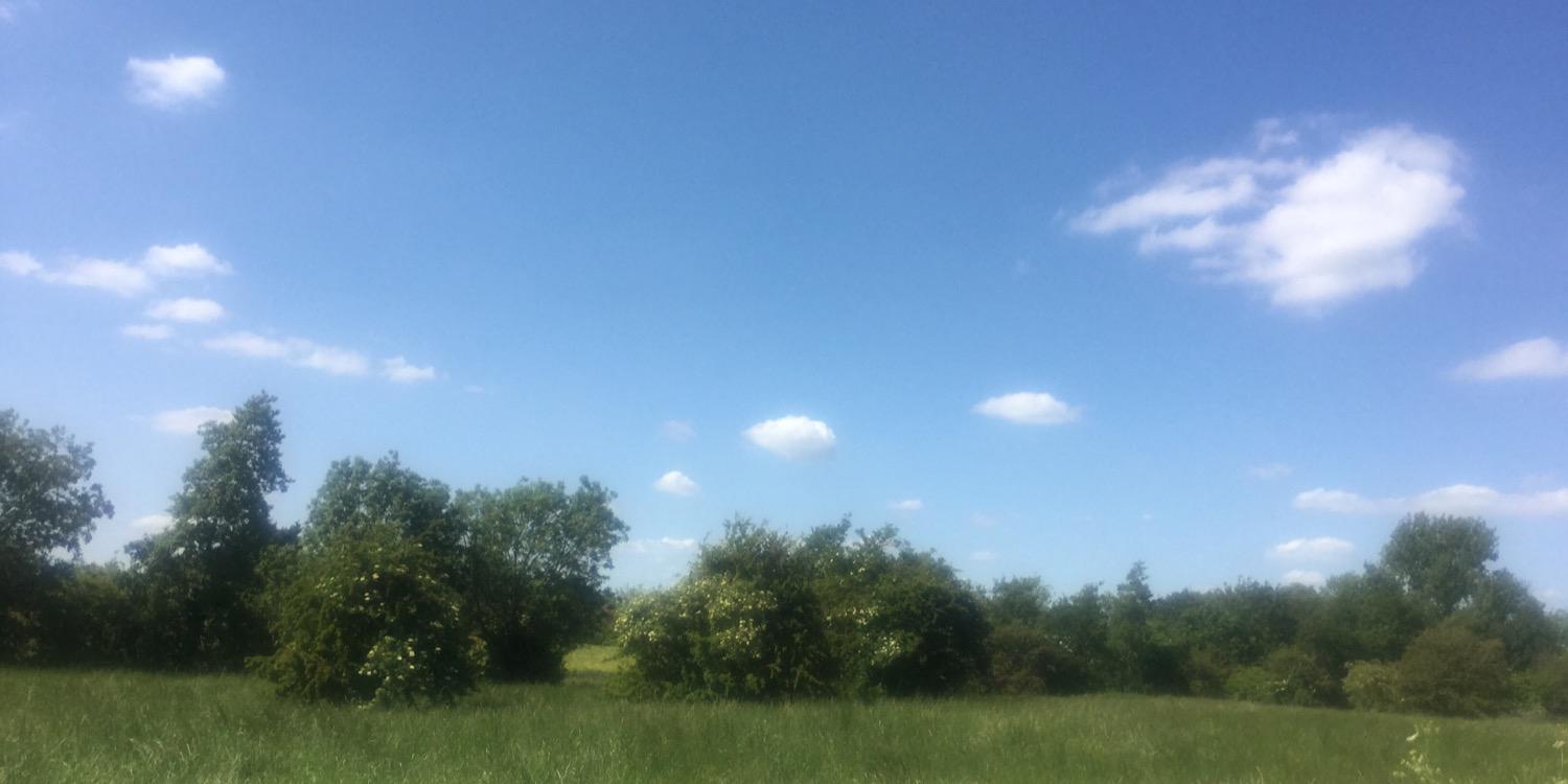 Save The West Fields banner