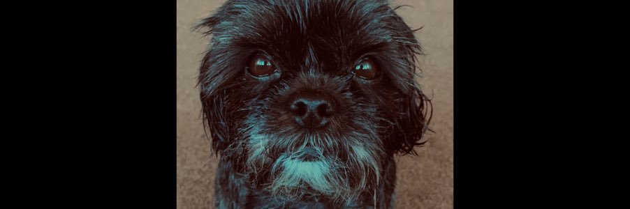 ellie99c's profile banner image