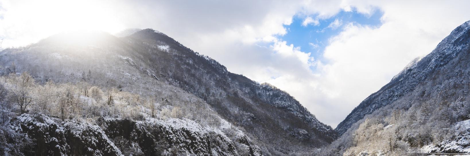 Graham Show ▲ banner