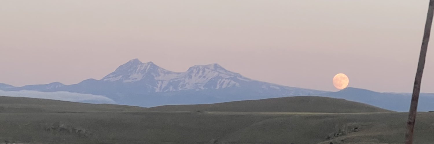 GregoryBalalian's profile banner image