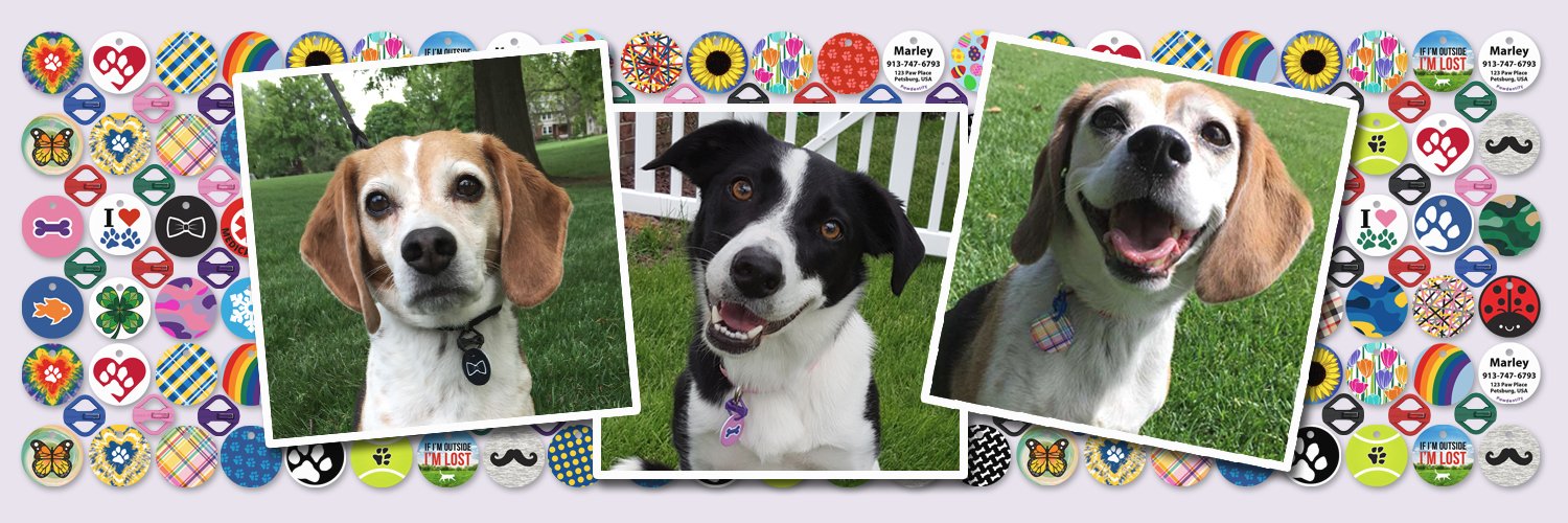 pawdentify's profile banner image