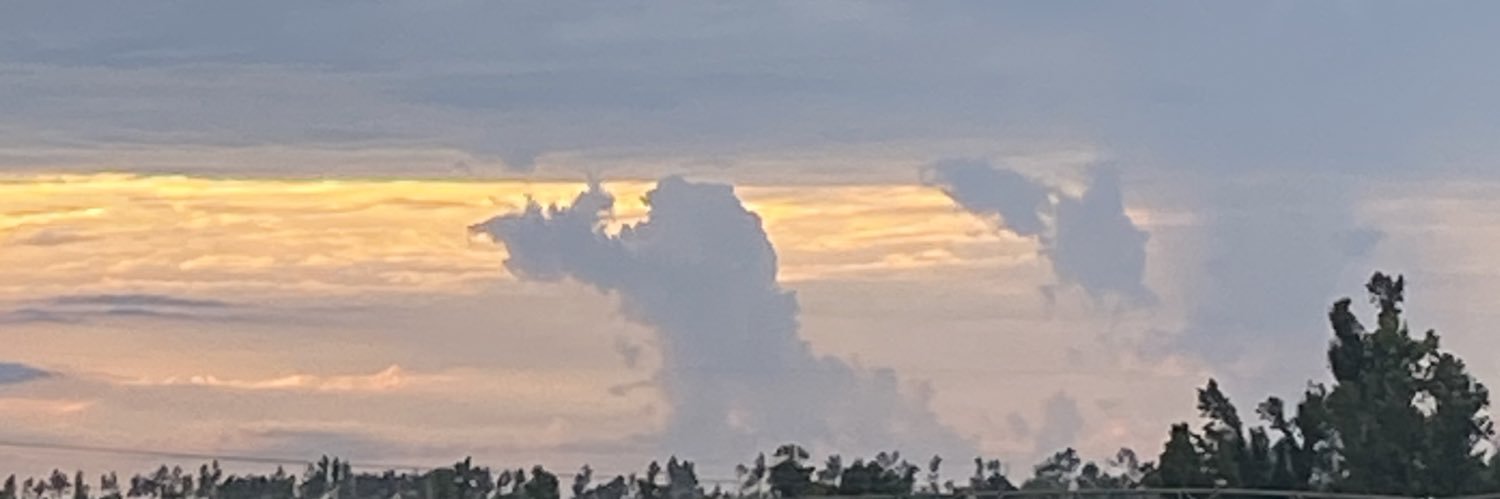 JJBARFIELD's profile banner image