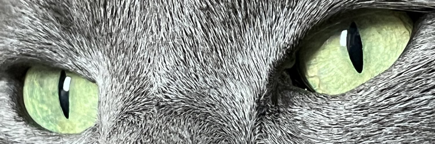 serraymnci's profile banner image