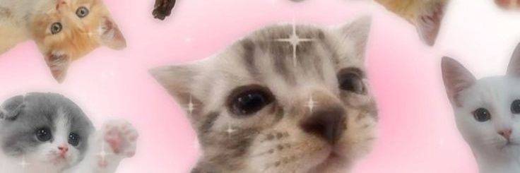 McTopin's profile banner image