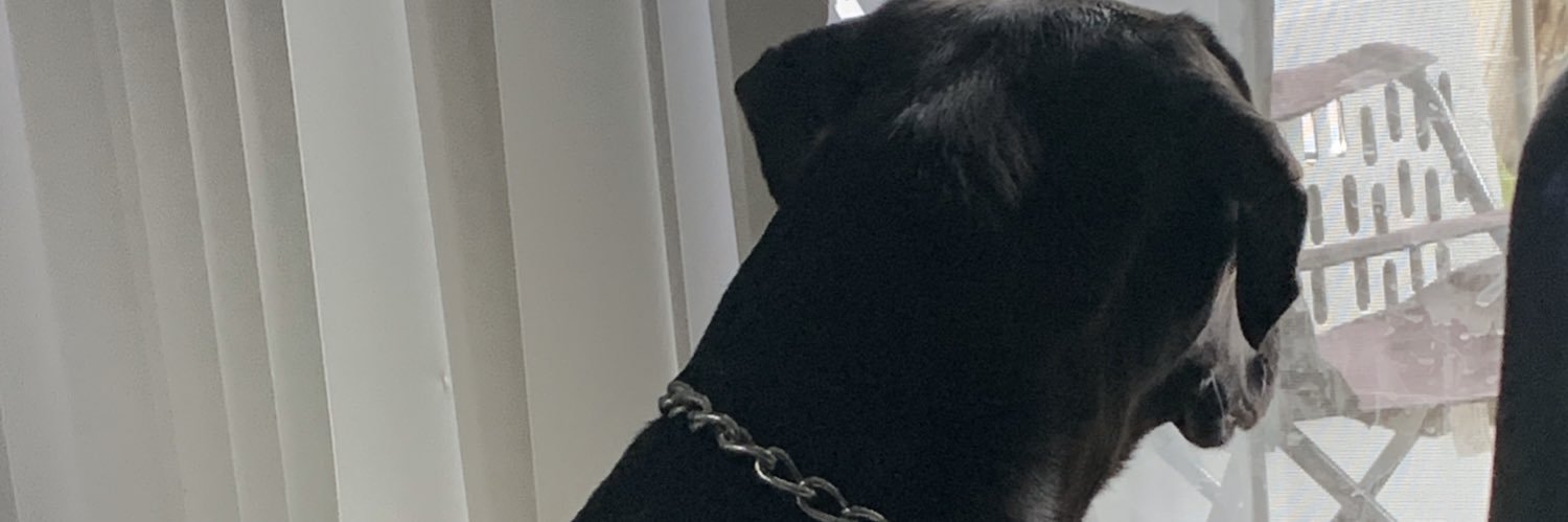 TheRealLastKen's profile banner image