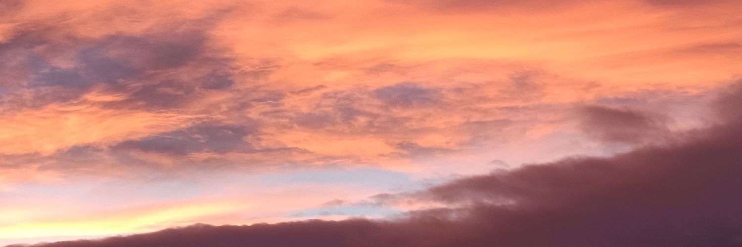 noe_433's profile banner image