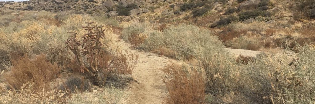 SADDEEQQ H&K🦉 banner