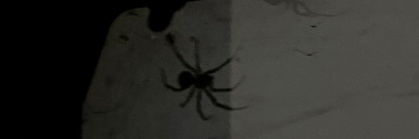 3arbi rocknroll 𓂀🐈‍⬛| banner