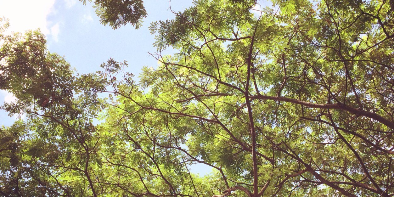 hellopeera's profile banner image