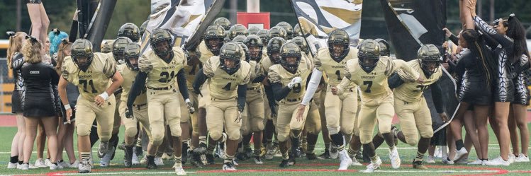 DTHS FOOTBALL banner