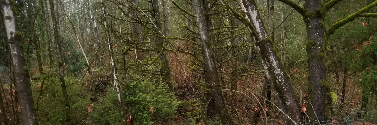 samieneedssleep's profile banner image