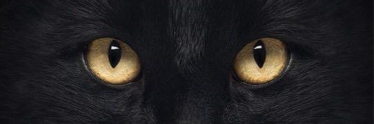 ucilho's profile banner image