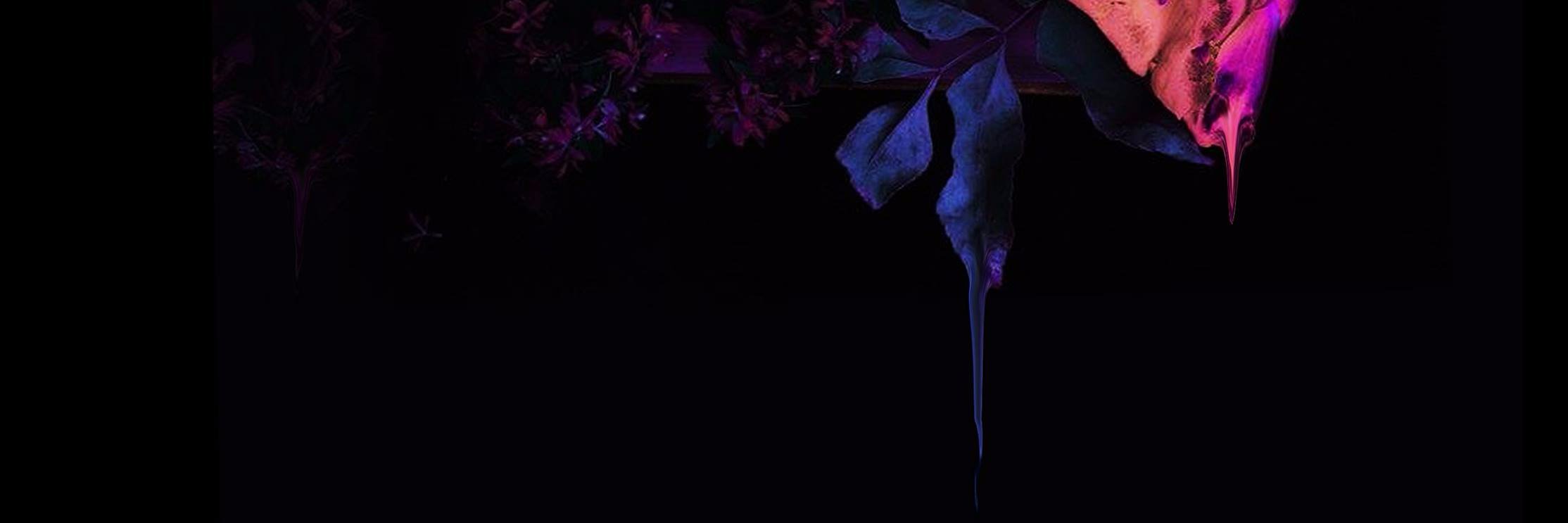 Desde El Mar Discos banner