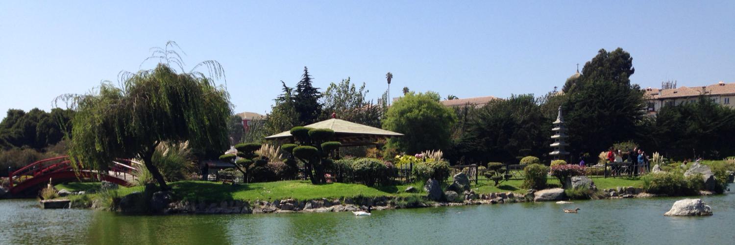 Elena_Rotarou's profile banner image