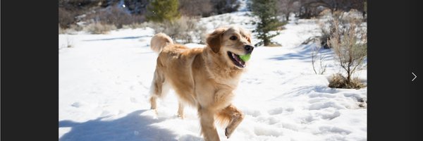 Kody_McGregor Profile Banner