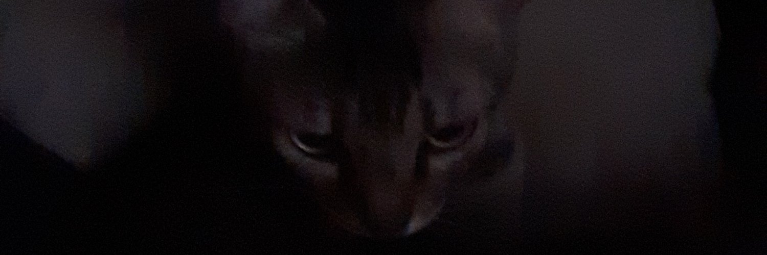 sergeyvargas's profile banner image