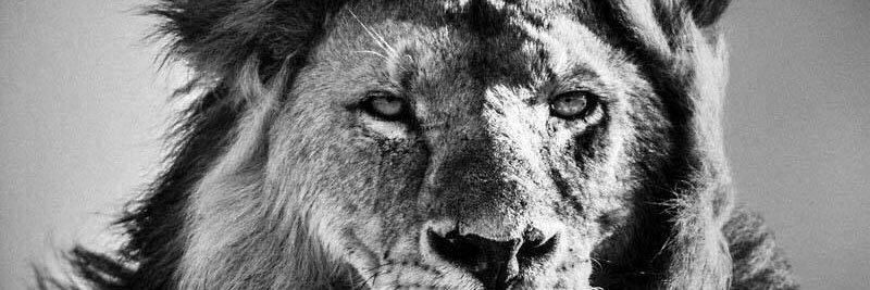 Romo_Edgar's profile banner image