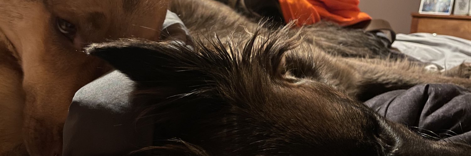 brooke_beale22's profile banner image