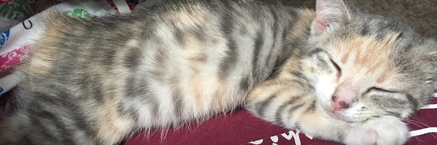 RiggleCarmen's profile banner image