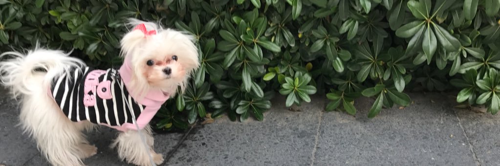 AMardons's profile banner image