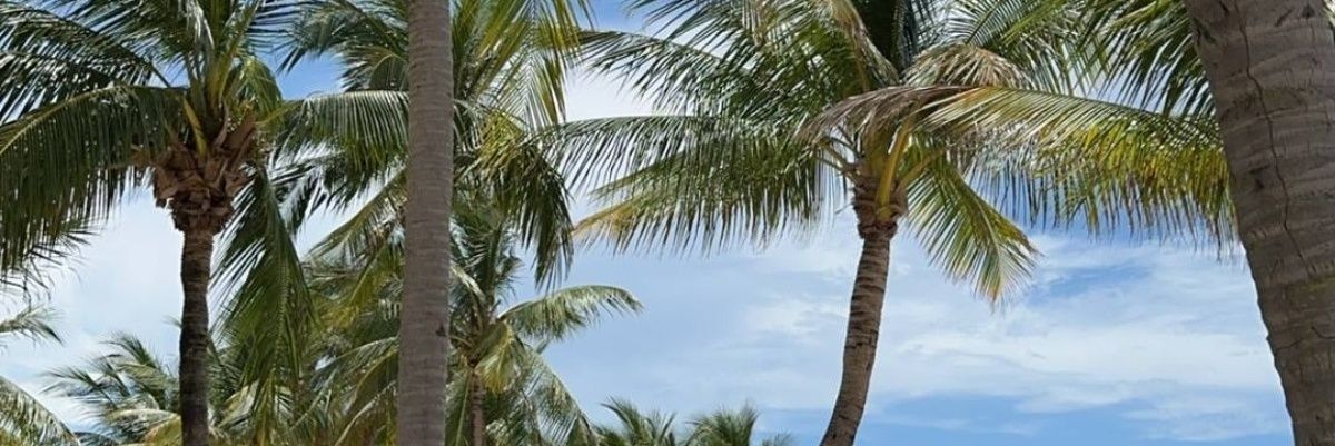 جنوبي غربي 🇸🇦 ⚡🌧️ banner