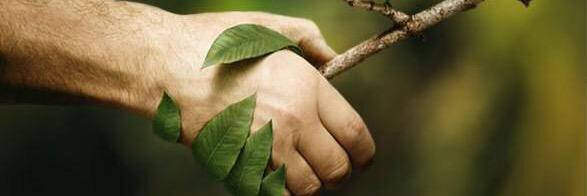 سبعة ألوان banner