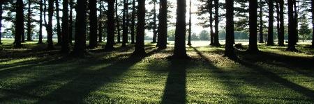regger_tspr's profile banner image