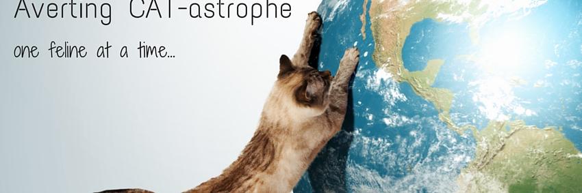 AvertingCAT1's profile banner image