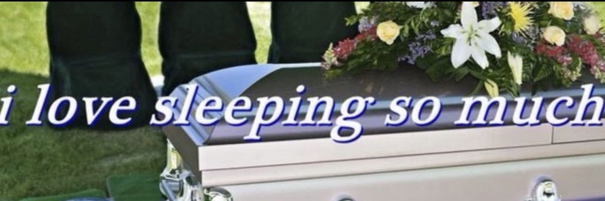 LIZ banner