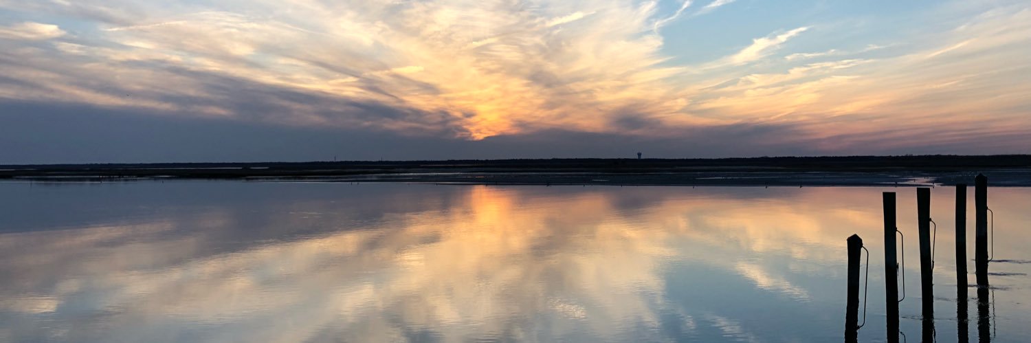 Mike Walsh 📸 banner