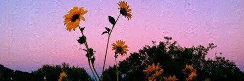 _KaylahXo's profile banner image
