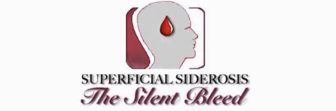 paul B Toovey (paul2v) 💙 #bluefornhs banner