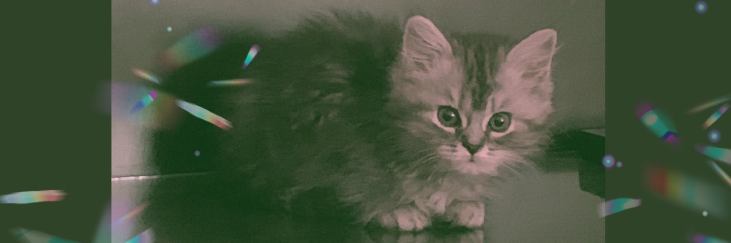 Sandymukhtar1's profile banner image