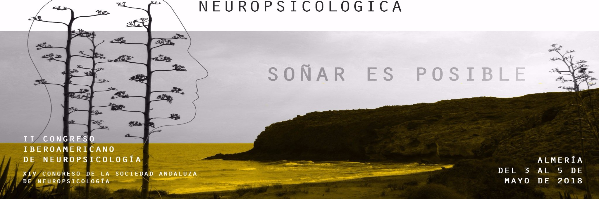 NeuroIbero's profile banner image