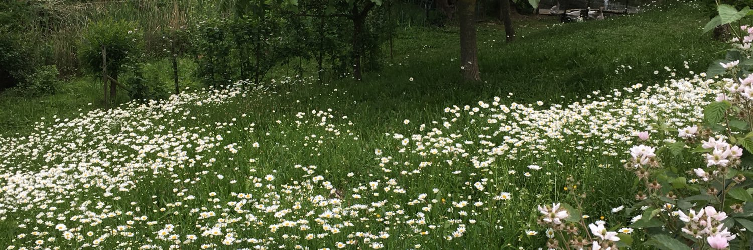 ingridveltkamp's profile banner image