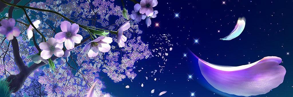 webcampasion's profile banner image