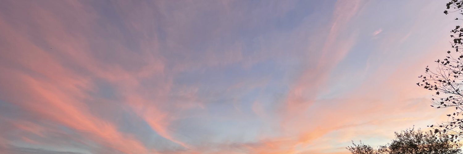 lsarver98's profile banner image
