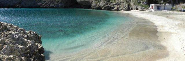 Kate Papapostolou banner