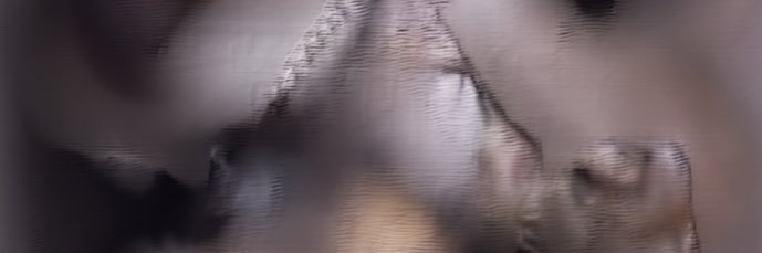 Strange Boy banner