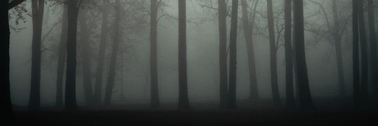 LucindaT_ME's profile banner image