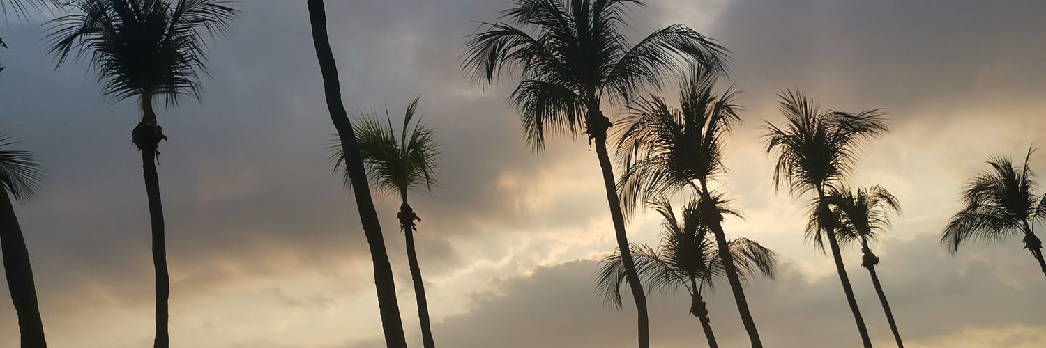 MissArifah's profile banner image