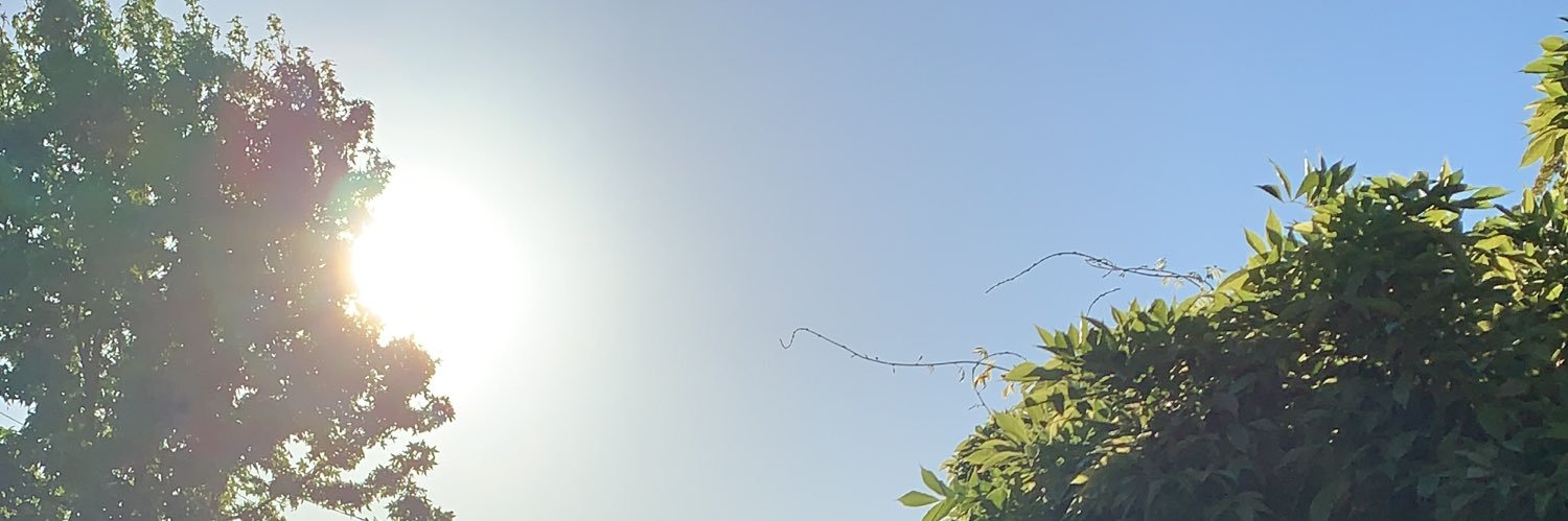 79meg's profile banner image
