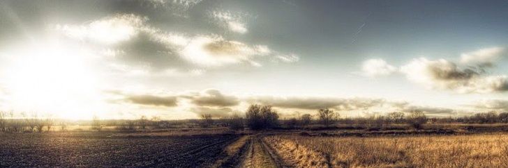 orajoneba's profile banner image