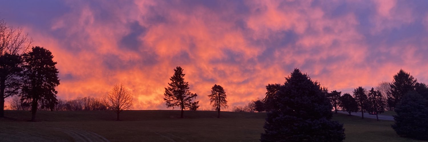 EmilyHarmanXO's profile banner image