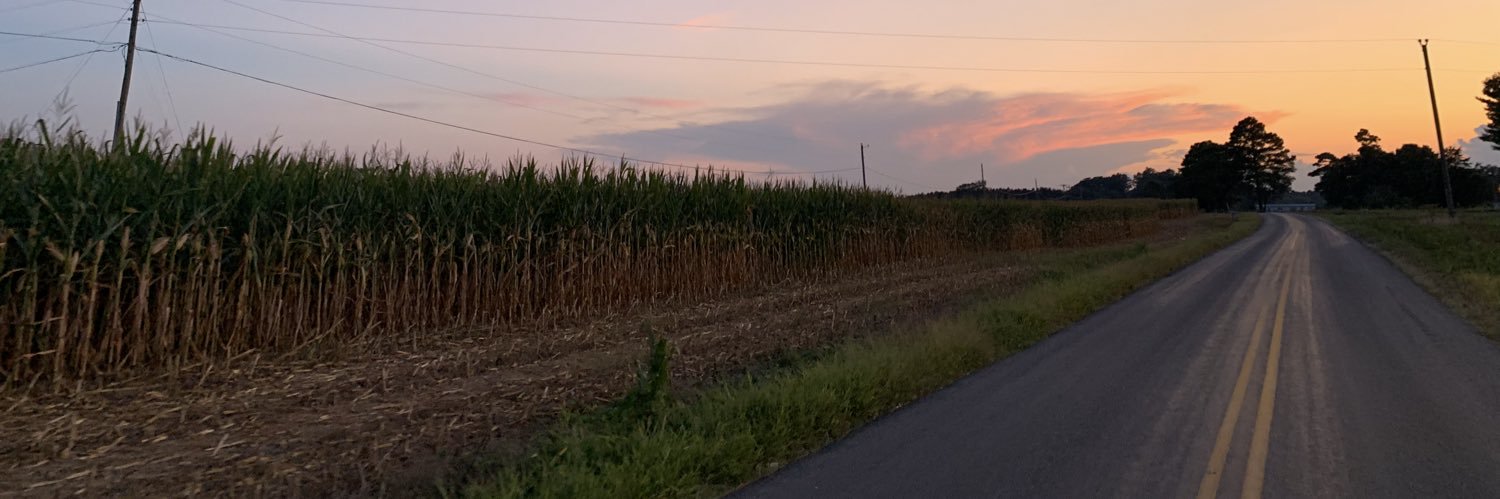 grace_averette's profile banner image
