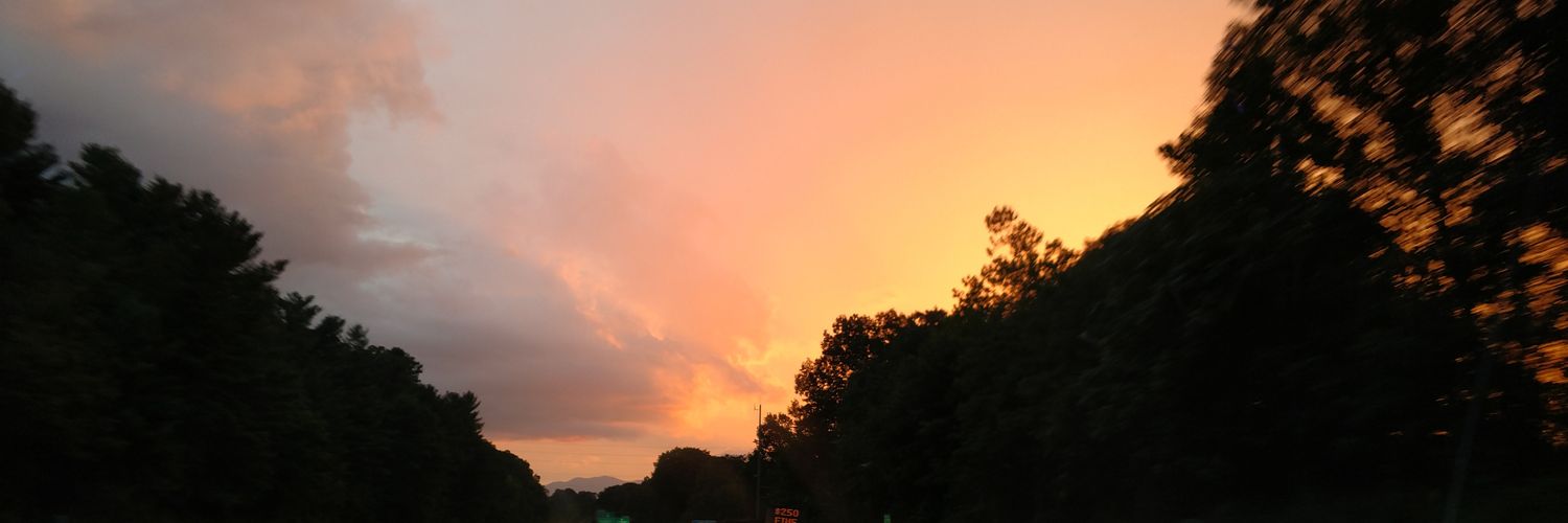 AmericanParser's profile banner image