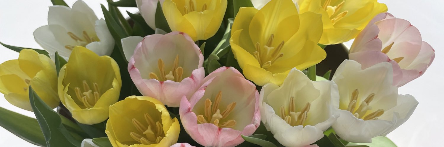 PoppyWarton's profile banner image